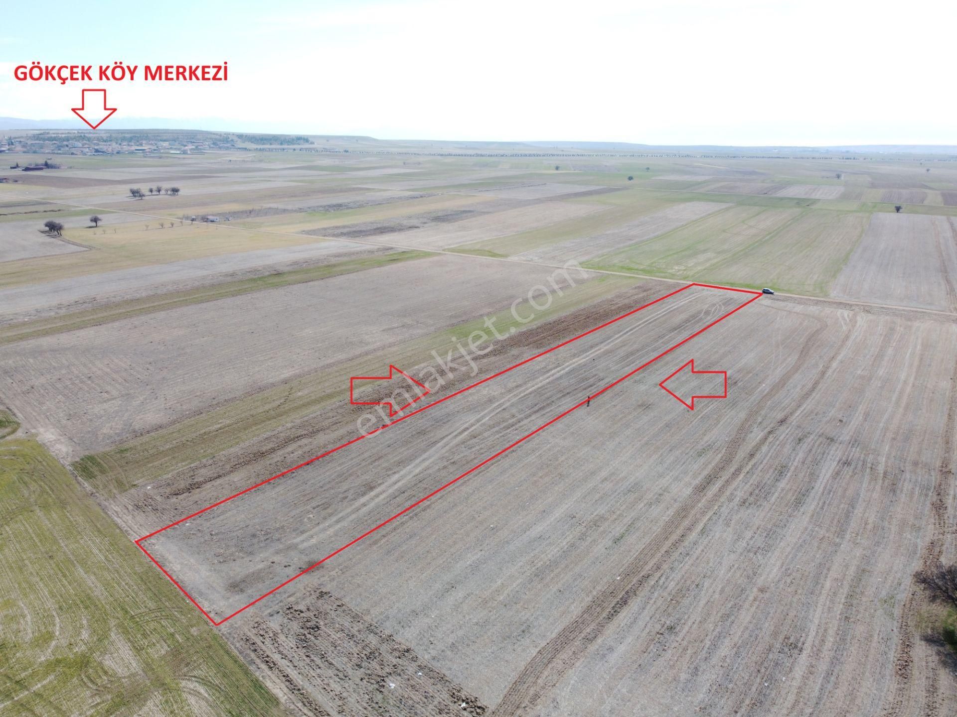 Afyonkarahisar Evciler Gökçek Köy Yakını 6461m2 Tek Tapu Tarla - Görsel 22