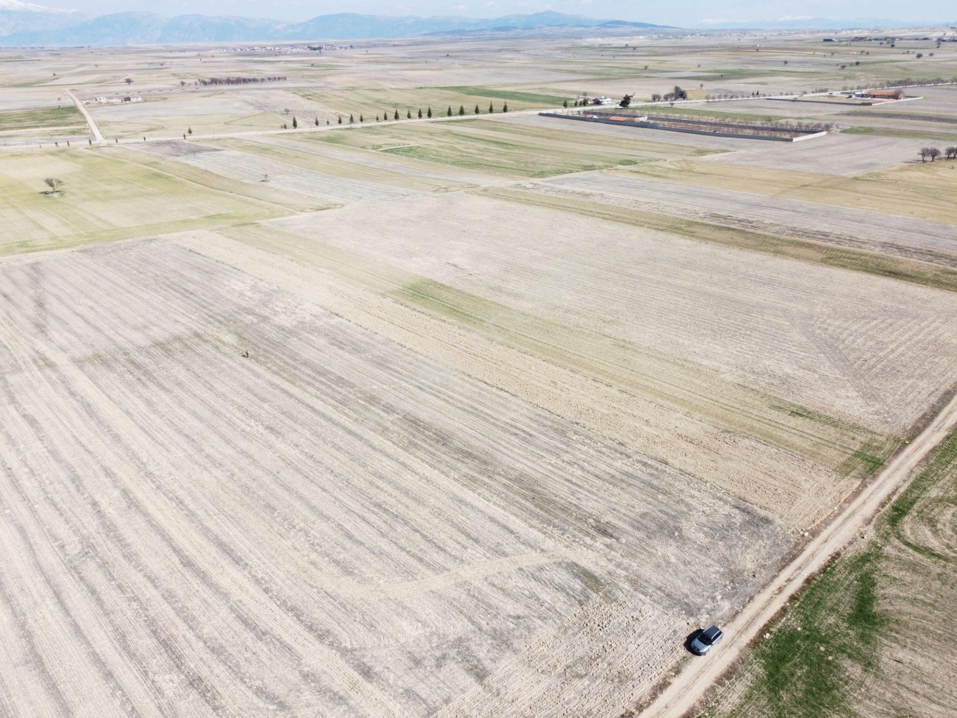 Afyonkarahisar Evciler Gökçek Köy Yakını 6461m2 Tek Tapu Tarla - Görsel 8