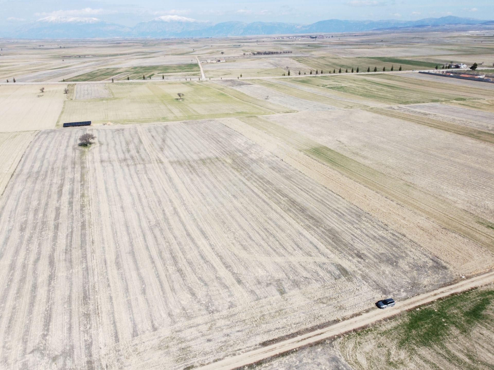 Afyonkarahisar Evciler Gökçek Köy Yakını 6461m2 Tek Tapu Tarla - Görsel 10