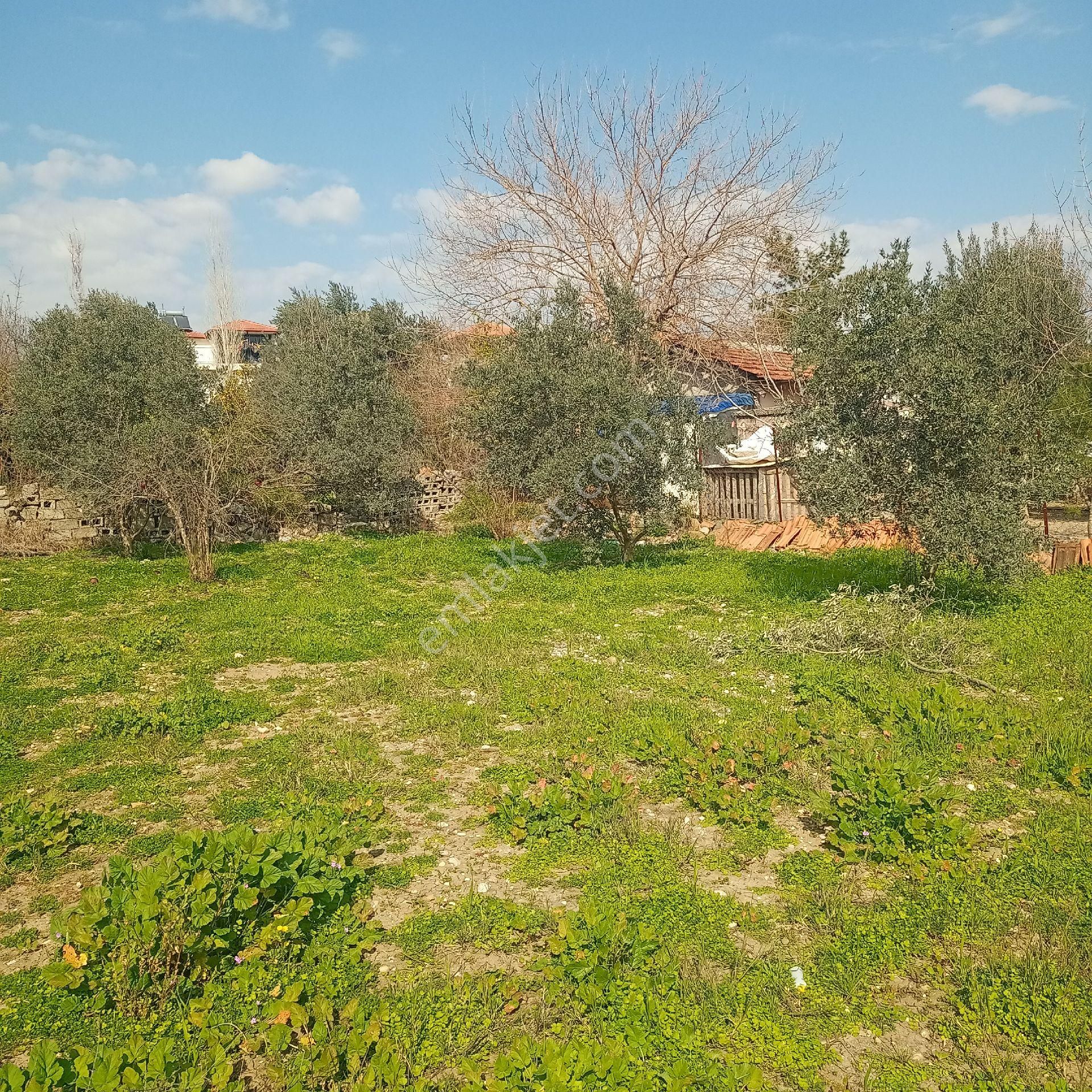Muğla Ortaca Merkez Satılık Arsa Müstakil Parsel - Görsel 3