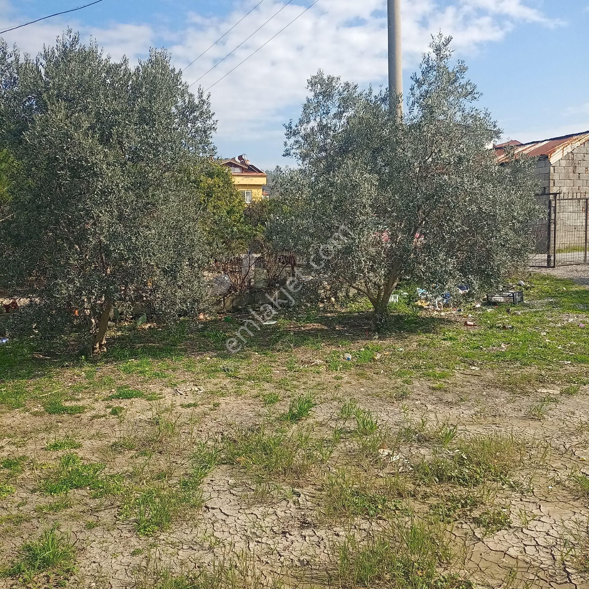 Muğla Ortaca Merkez Satılık Arsa Müstakil Parsel - Görsel 4