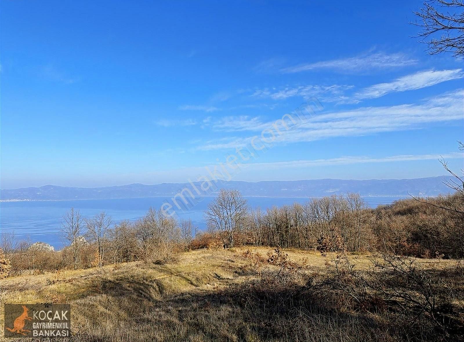 İznik Göllüce Köyünde Tamamı Göl Manzaralı 4332 M2 Arazi - Görsel 2