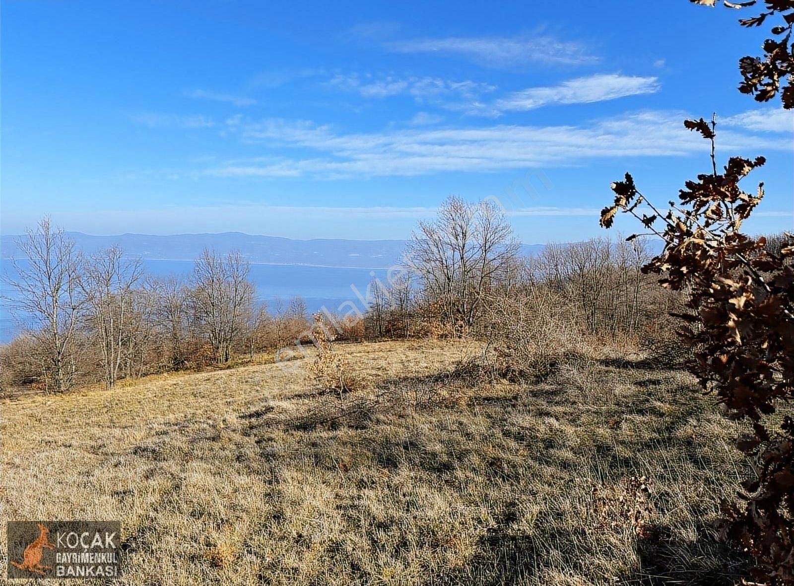 İznik Göllüce Köyünde Tamamı Göl Manzaralı 4332 M2 Arazi - Görsel 7