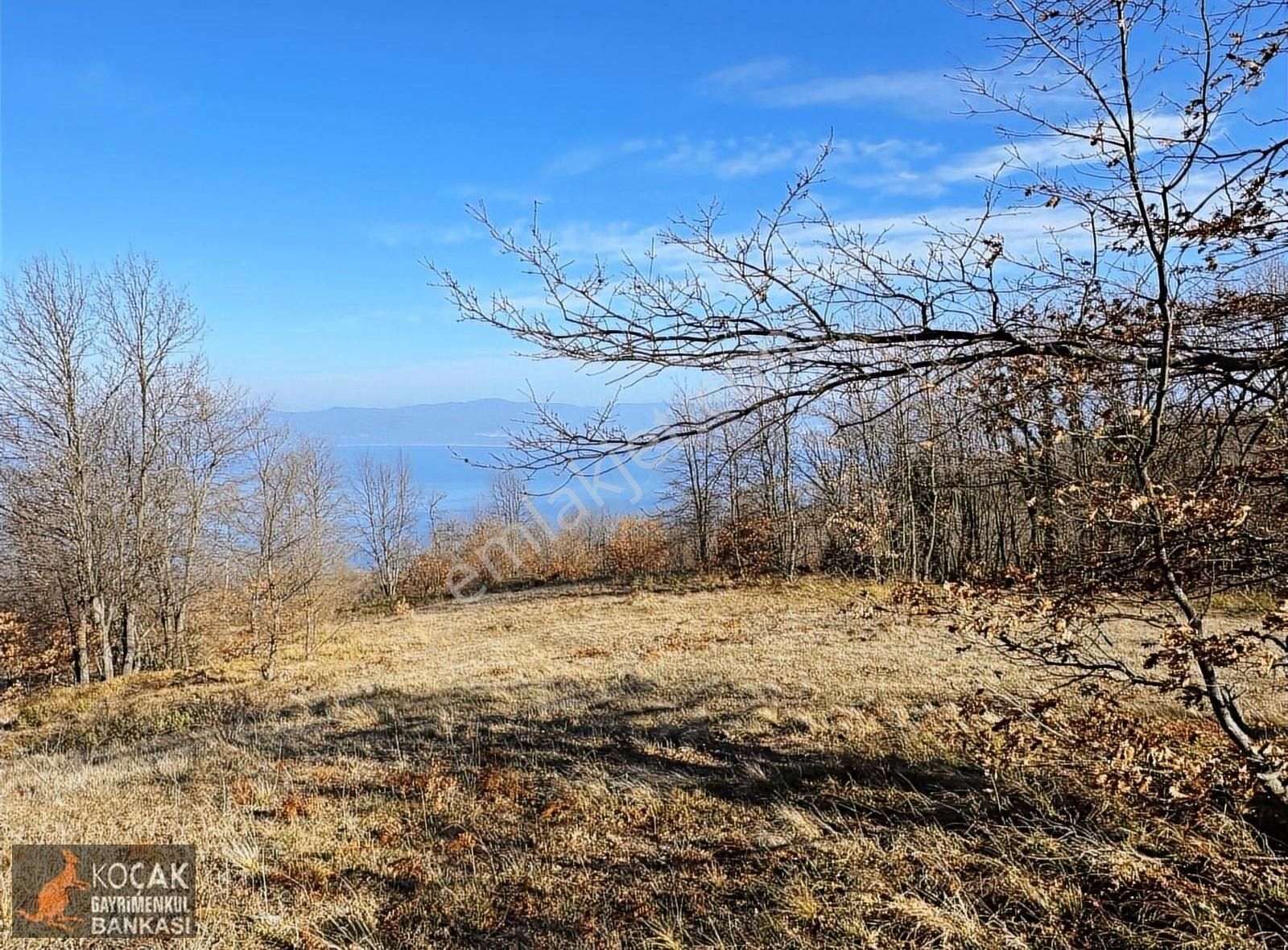İznik Göllüce Köyünde Tamamı Göl Manzaralı 4332 M2 Arazi - Görsel 8