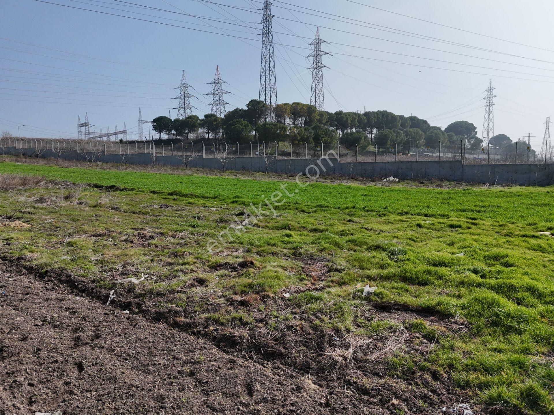 Rookz Balşehir'den Köylüköy De Yürüme Mesafesinde Satılık Tarla - Görsel 21