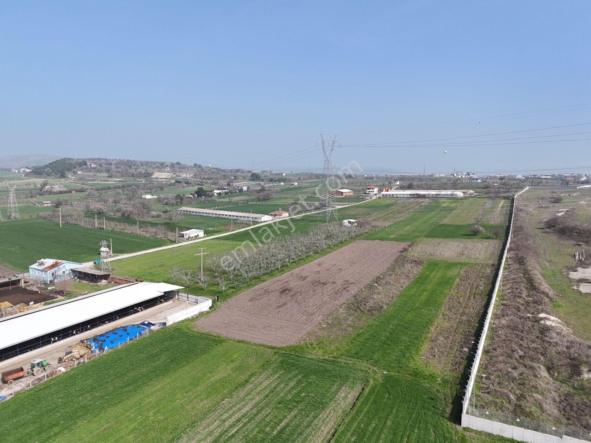 Rookz Balşehir'den Köylüköy De Yürüme Mesafesinde Satılık Tarla - Görsel 4