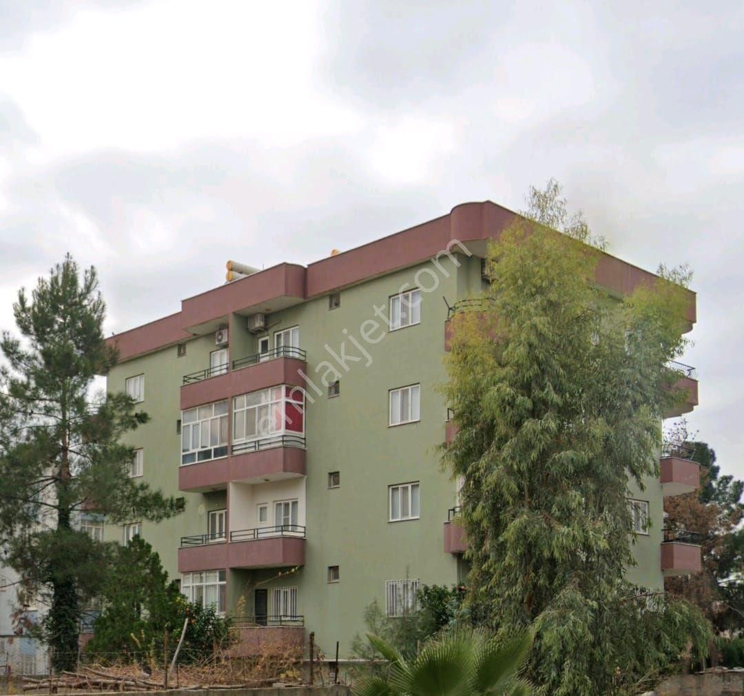 Lokman Bektastan Satilik