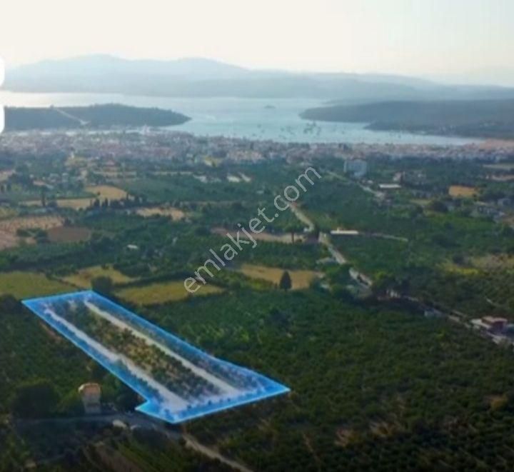Seferihisar Sığacak Ta Resmi Tapu .tapu Dairesinde Tapu Devri - Görsel 6