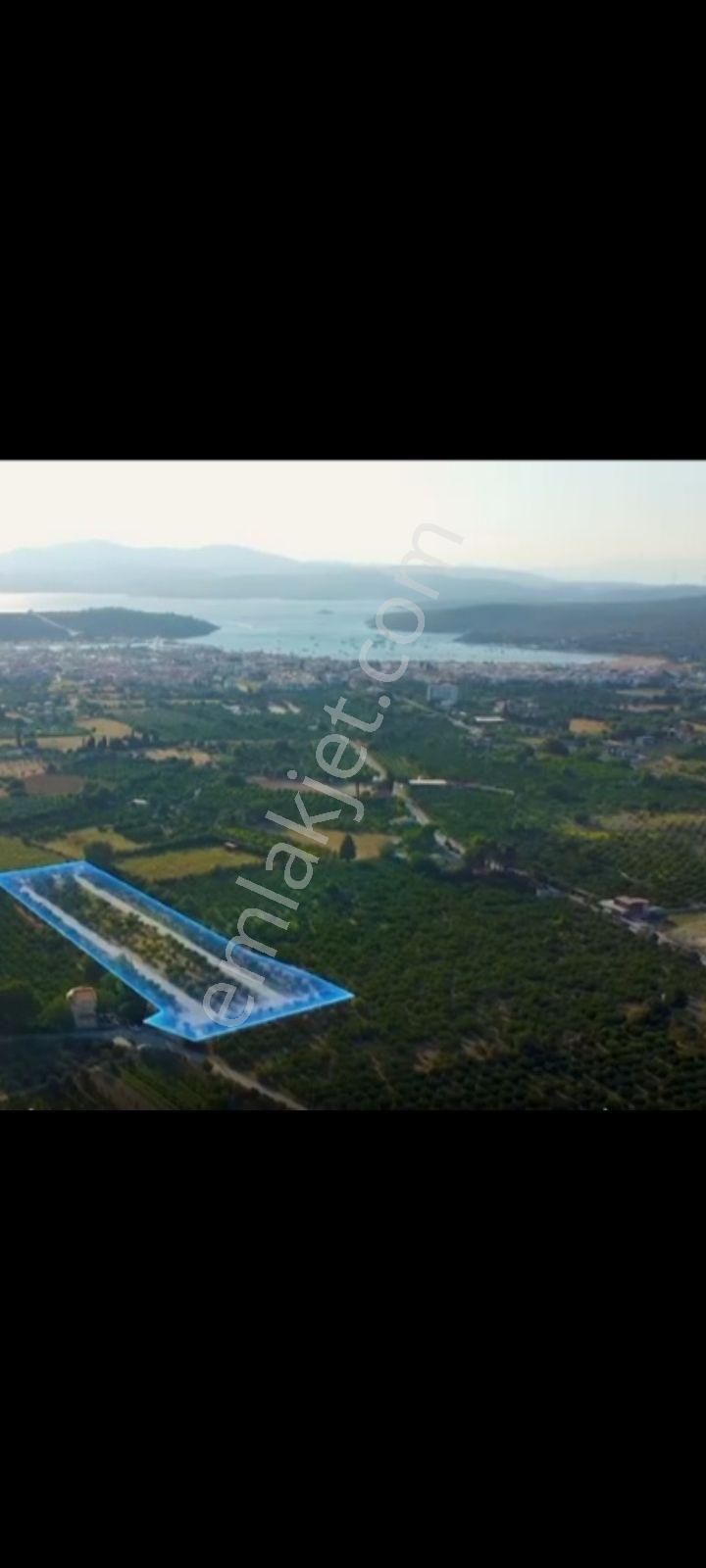Seferihisar Sığacak Ta Resmi Tapu .tapu Dairesinde Tapu Devri - Görsel 2