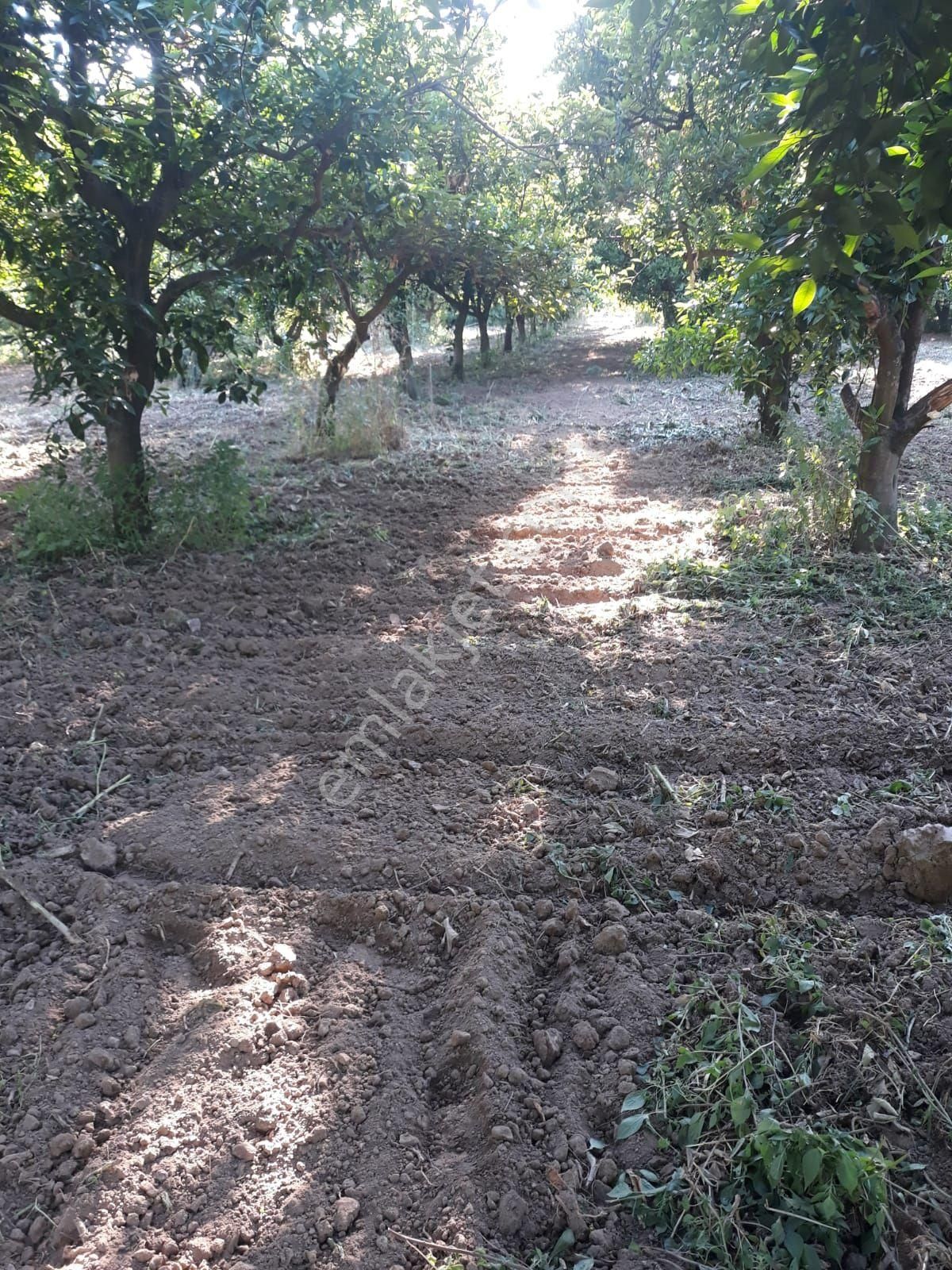 Hamzallı Da 8630 M2 Satılık Tarla - Görsel 6