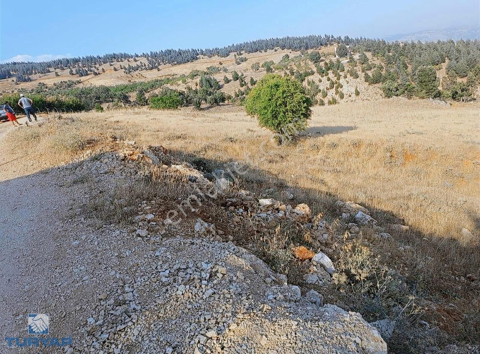 Dulkadiroğlu Kozludere Satılık Bağ & Bahçe Binevler Turyaptan Kozluderede Ayvalı Baraj Manzaralı Bağ