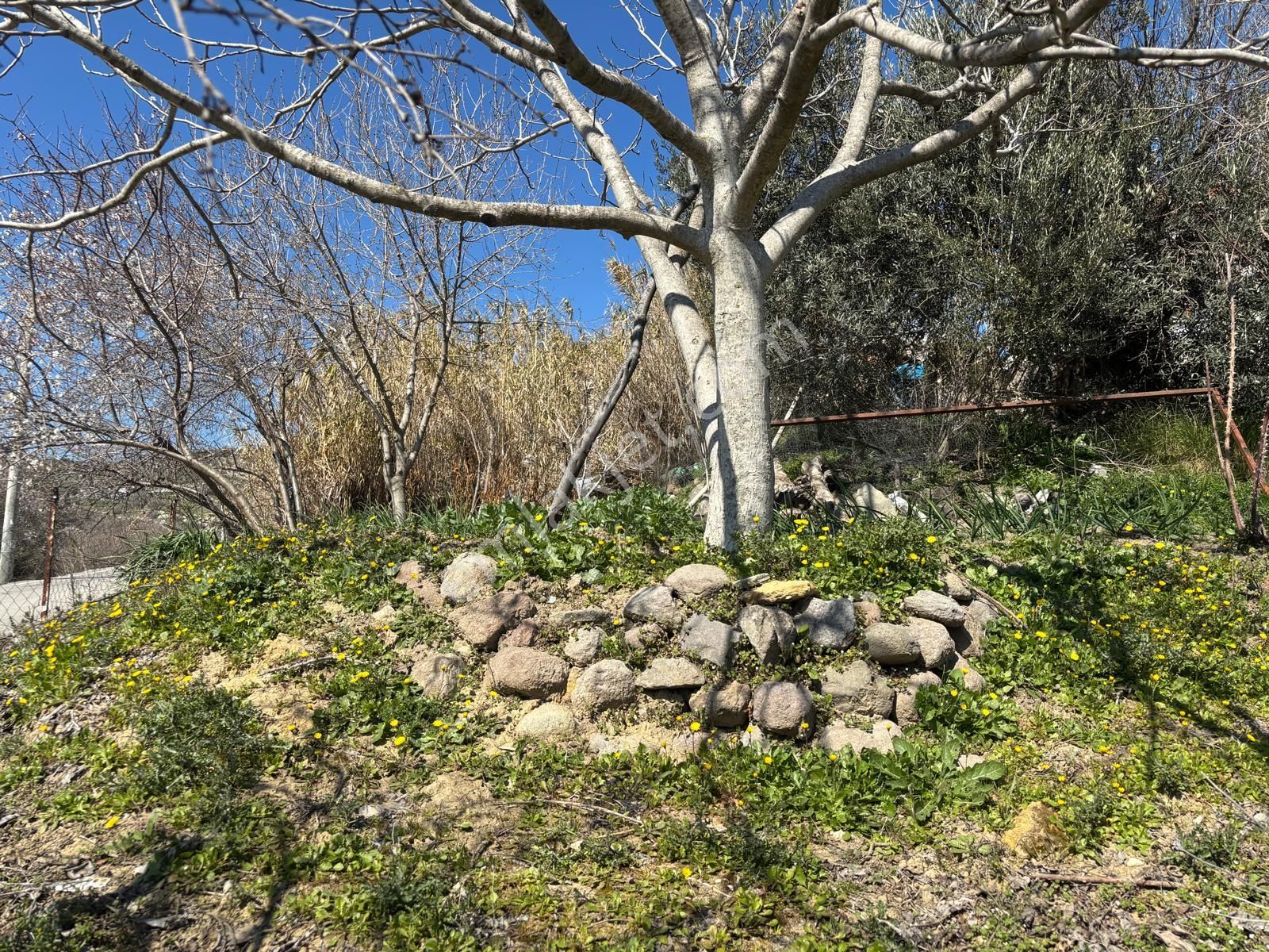 Yukarıkırıklar Mahallesi Merkeze Yakın Köy Evi - Görsel 10