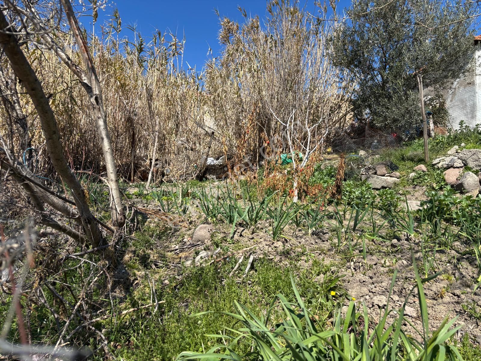 Yukarıkırıklar Mahallesi Merkeze Yakın Köy Evi - Görsel 12