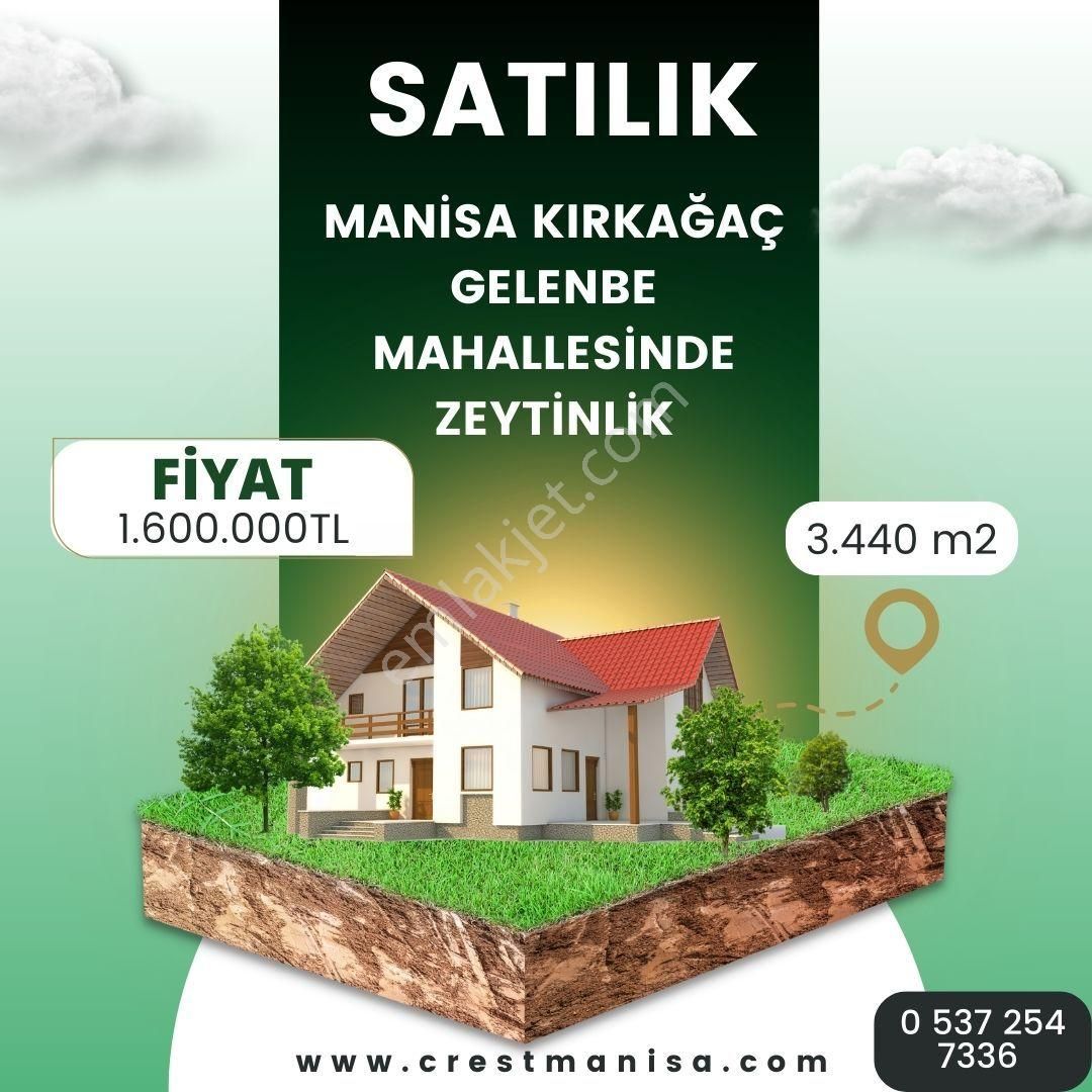 Kırkağaç Gelenbe Satılık Tarla Crest Yatırımdan Kırkağaç Gelenbe Mahallesinde Satılık Zeytinlik