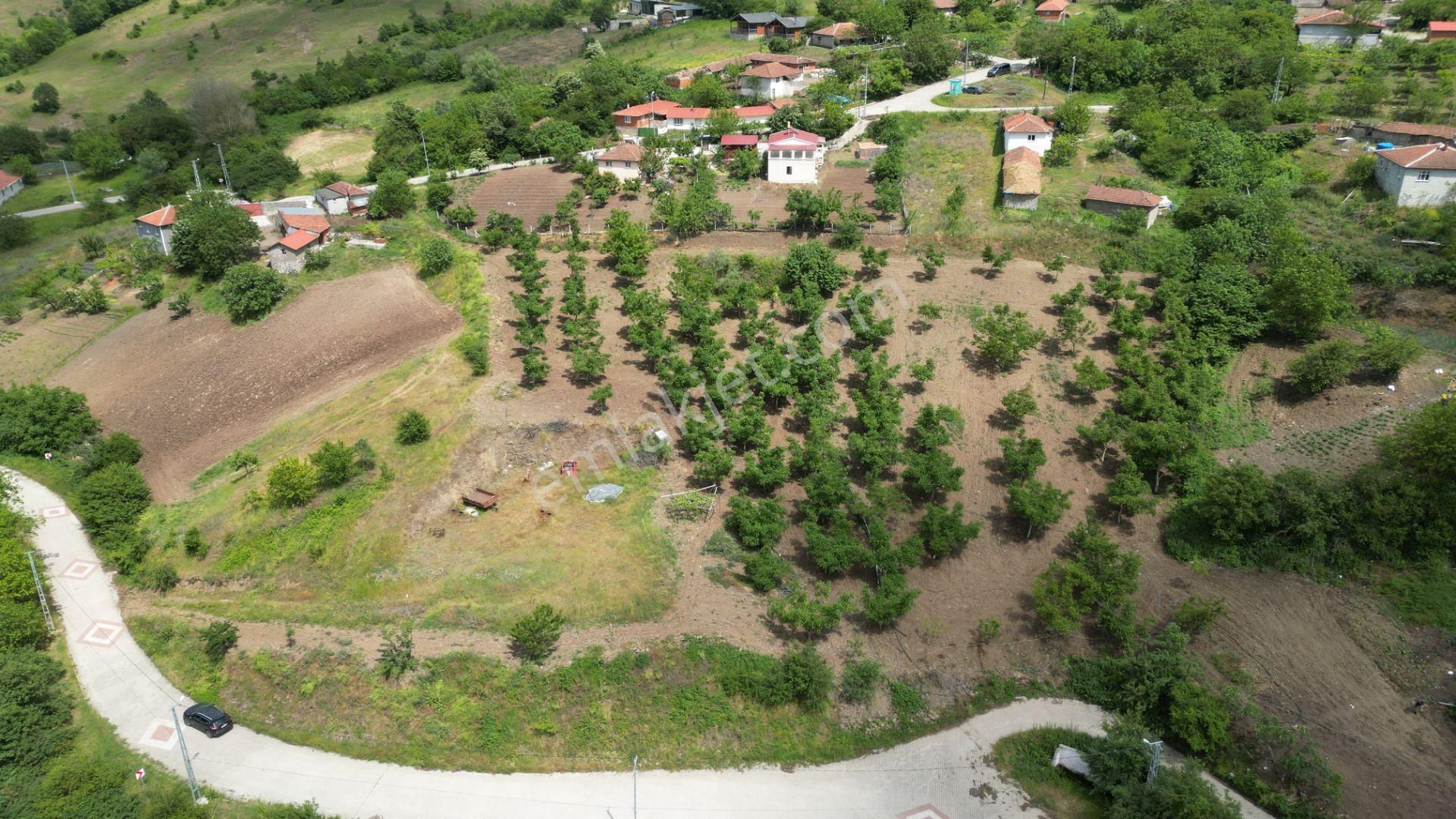 Kocaeli Karamürsel Fulacık Mahallesi'nde Resmi Yola Cephe Satılık Konut İmarlı Arsa