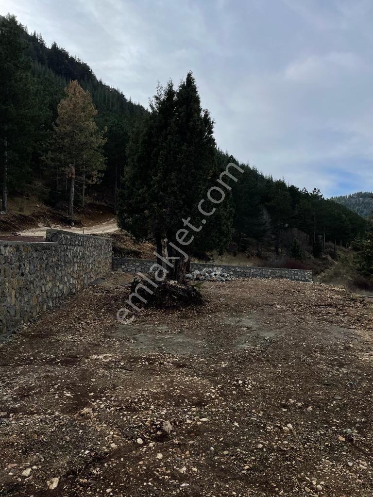 Doğanın Kalbinde Arslanköy'de Satılık 1336 M² Arazi - Görsel 4