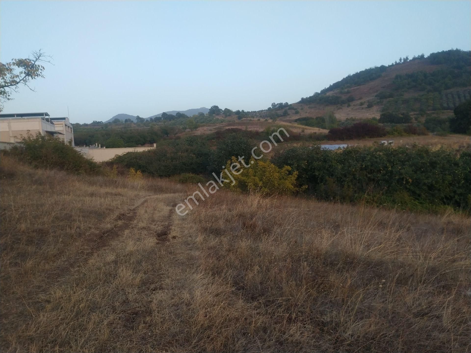 Seçköyde 1245m.yatirimlik Tarla - Görsel 11