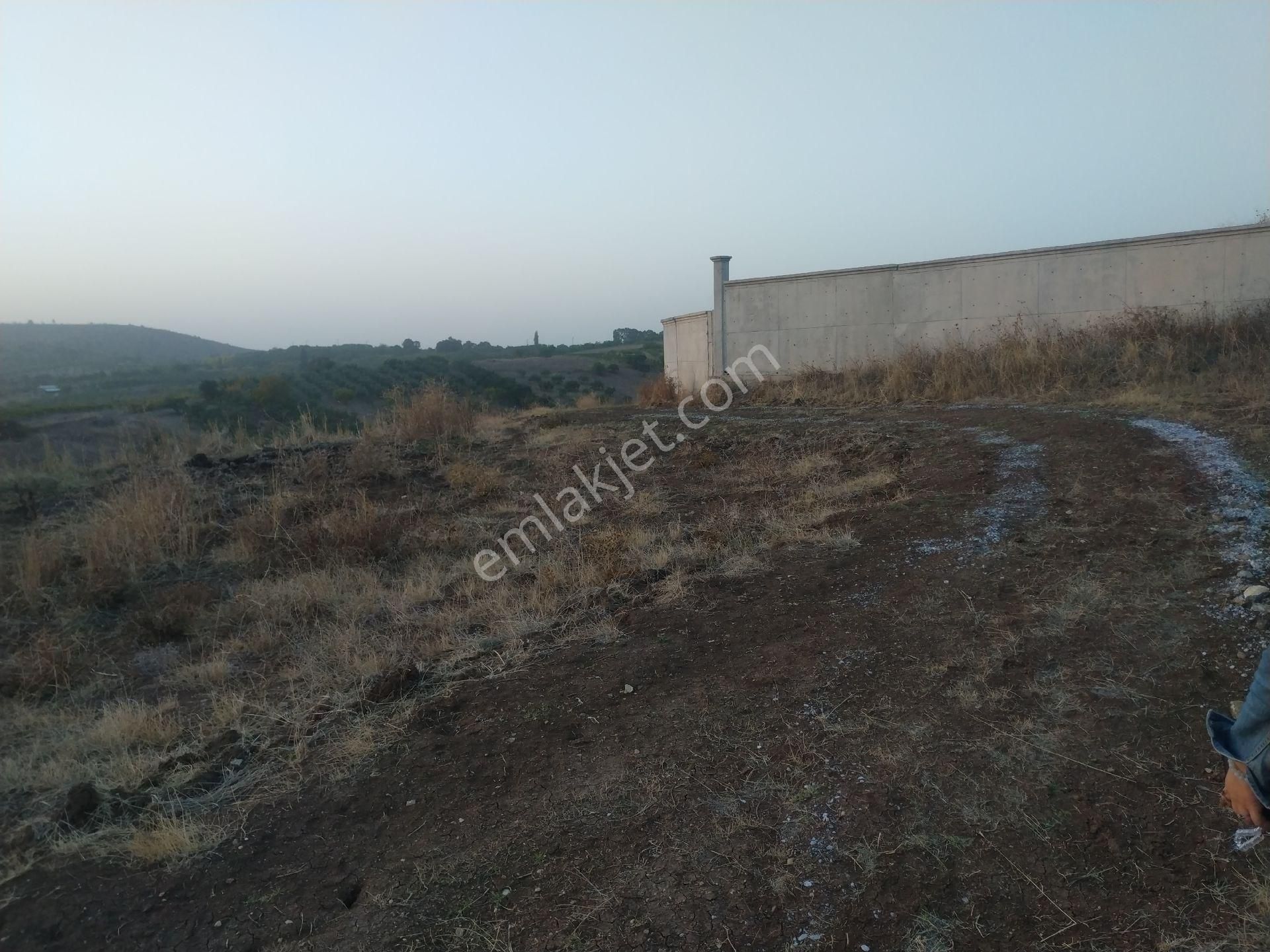 Seçköyde 1245m.yatirimlik Tarla - Görsel 12