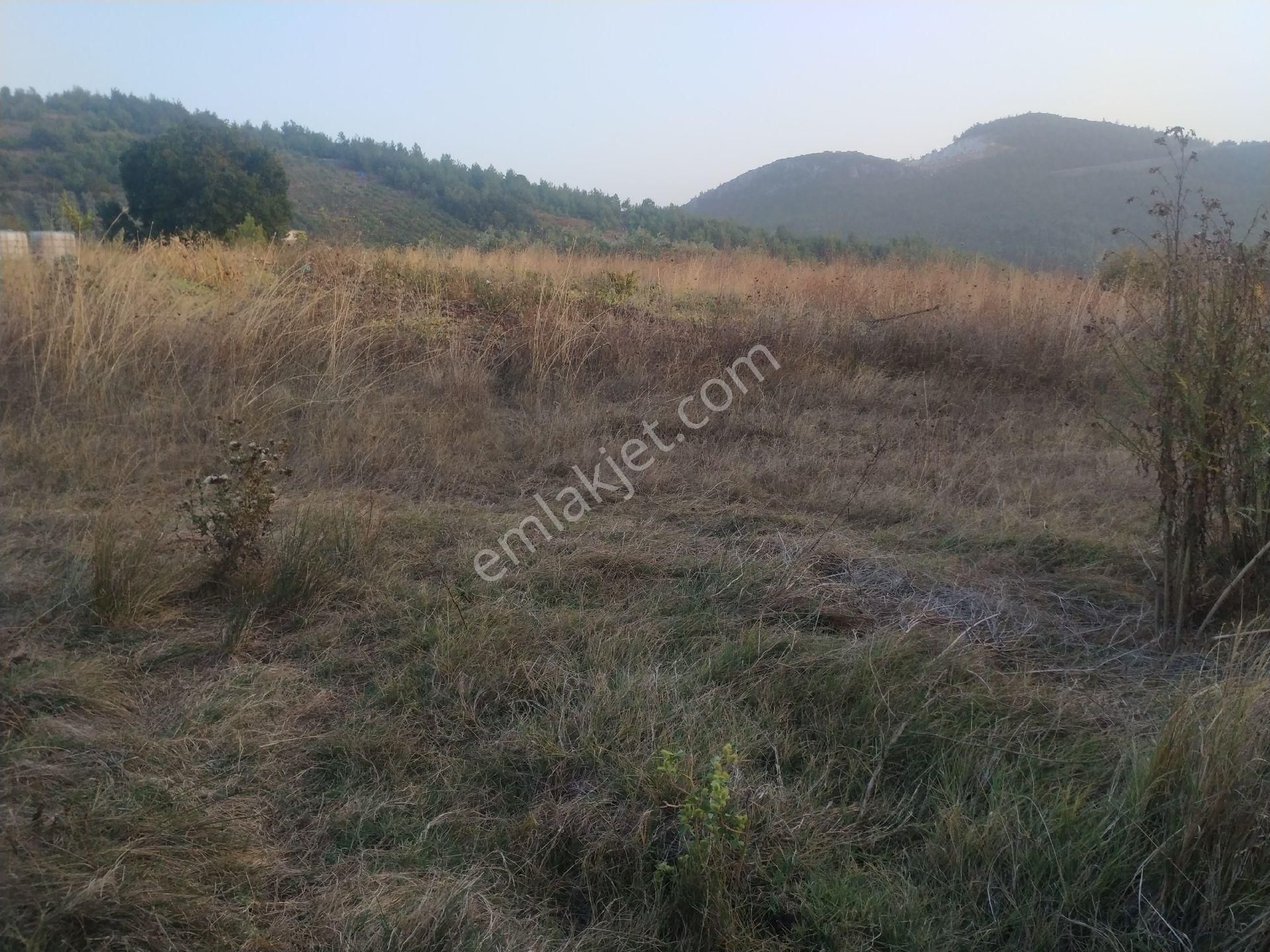 Seçköyde 1245m.yatirimlik Tarla - Görsel 5