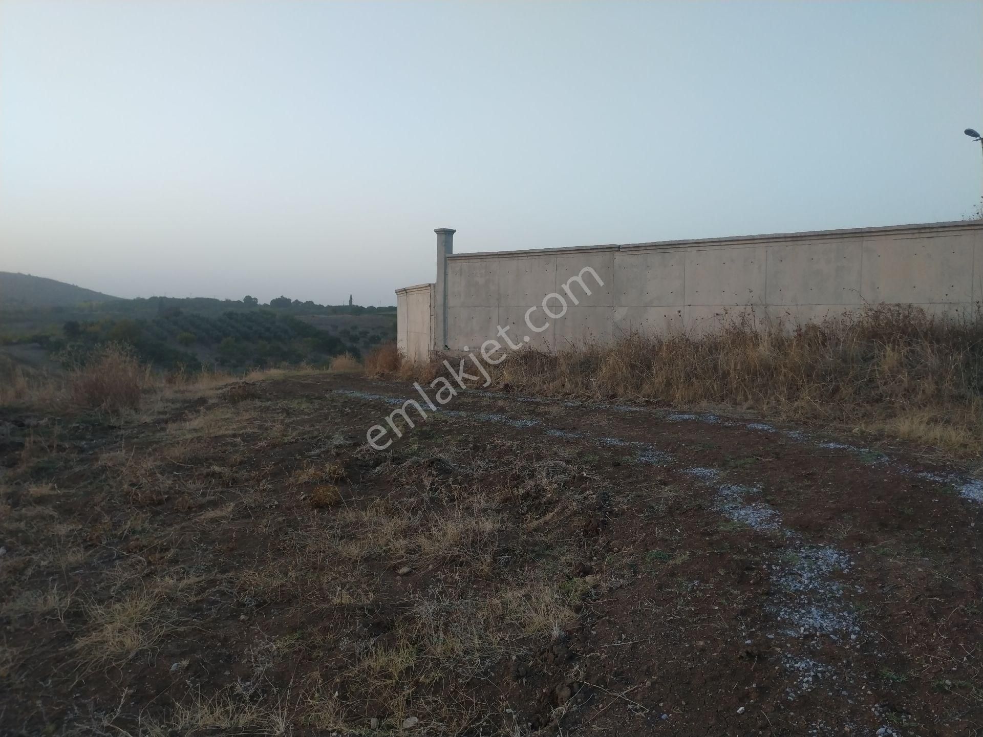 Seçköyde 1245m.yatirimlik Tarla - Görsel 13