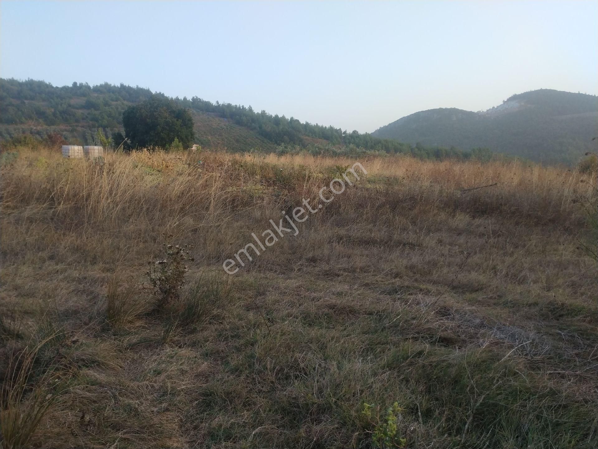 Seçköyde 1245m.yatirimlik Tarla - Görsel 6