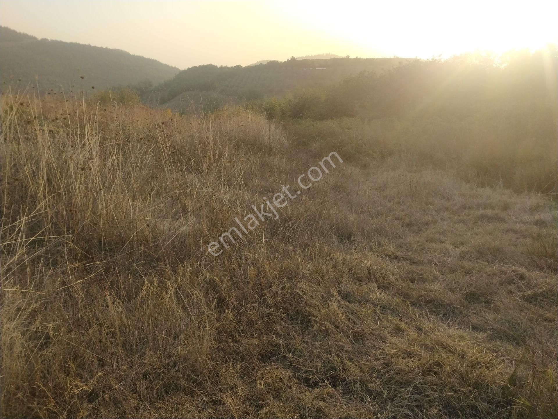 Seçköyde 1245m.yatirimlik Tarla - Görsel 3