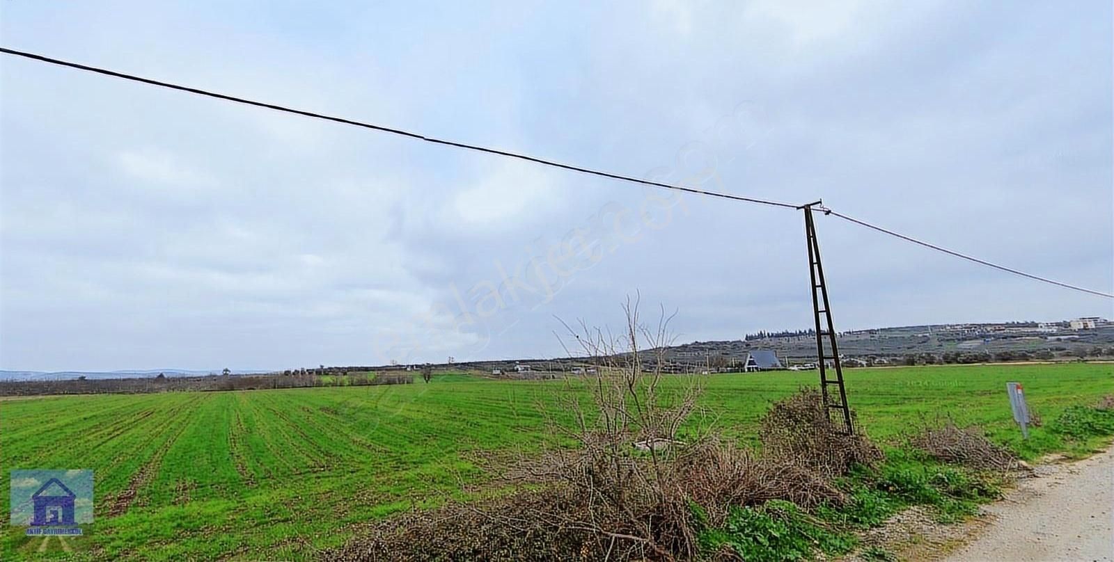 Bursa Mudanya Küçükyenice Köyünde 17.500m2 Satılık Arsa - Görsel 2
