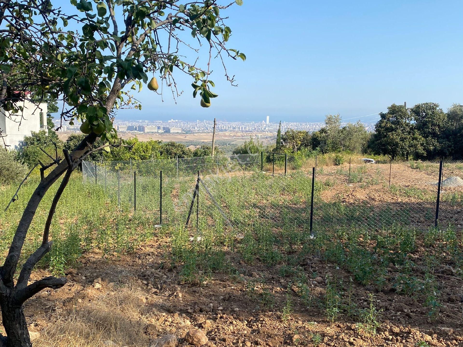 Toroslar Buluklu Satılık Konut İmarlı 🏞️ Mersin Toroslar Buluklu Mahallesi'nde Satılık Arsa 🏞️