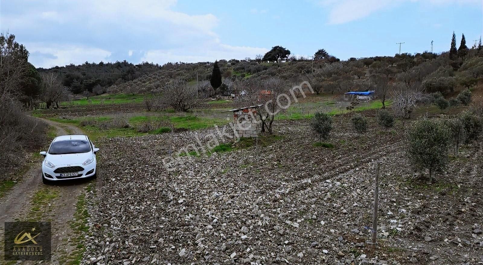 Soma Zafer Satılık Tarla Anadolu'dan Belkent Sitesi Civarı Satılık Tarla