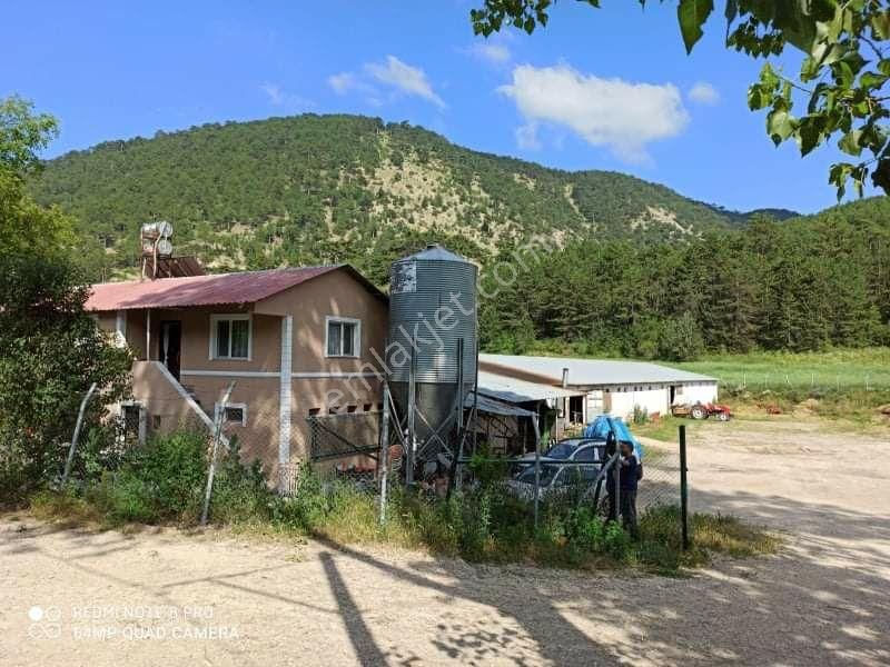 Göynük Kozcağız Köyü (Köstek) Satılık Çiftlik Sahibinden Çiftlik