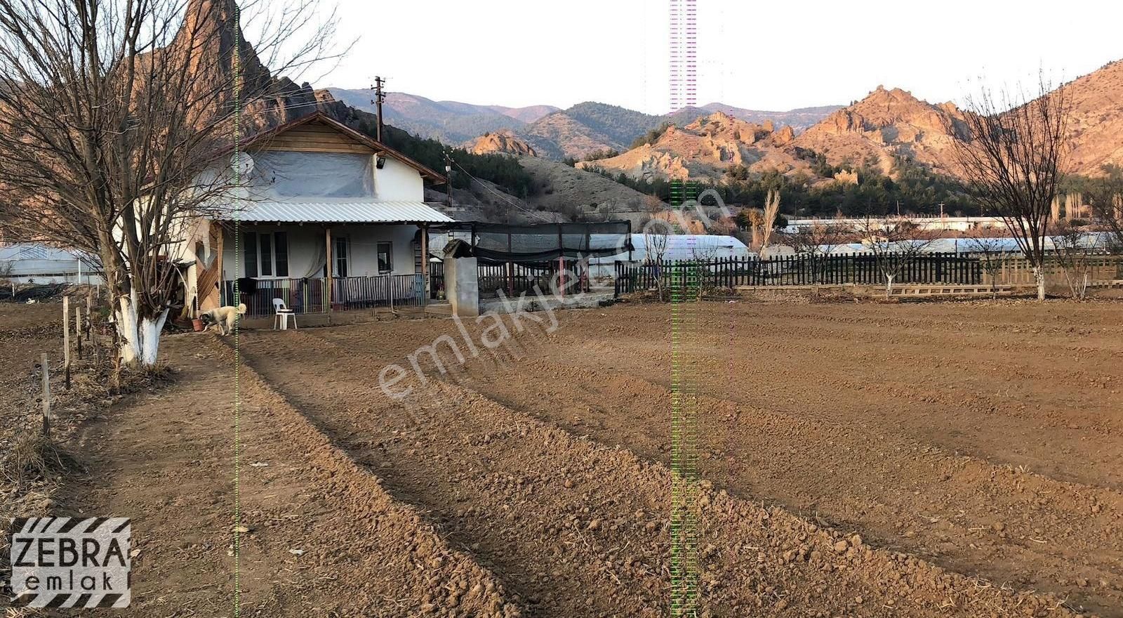 Mihalgazi Dokuz Mayıs Satılık Bağ & Bahçe Mihalgazi Mah. Sakarya Nehrine Yakın Evi Ve 1000m2 Bahçe