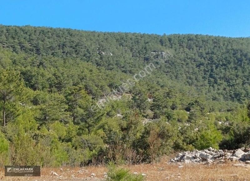 Silifke Karahacılı Satılık Tarla Emlakpark'tan Doğayla İç İçe Hobı Bahcelık Tarla