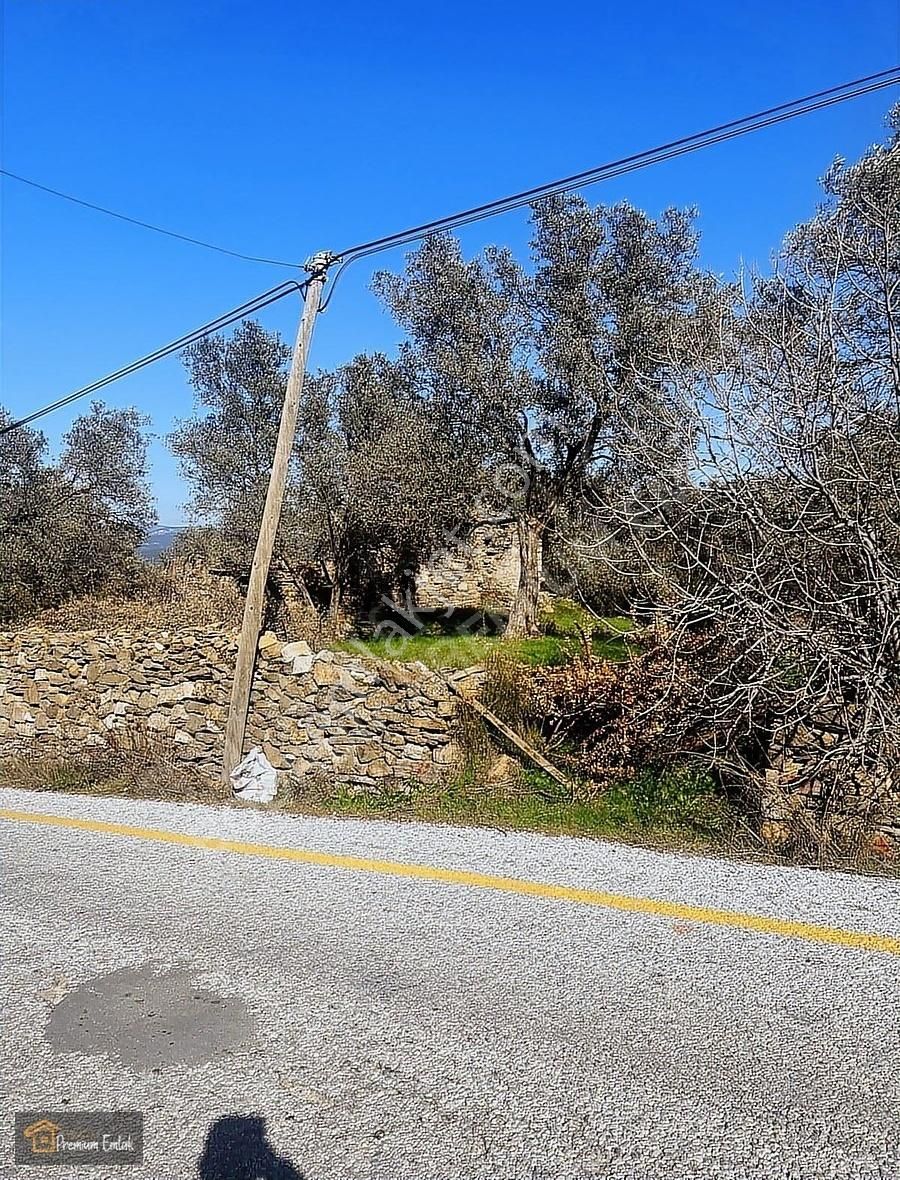 Milas Karacahisarda Köy İçi Kağir Ev Ve 980 M2 Arsası - Görsel 26