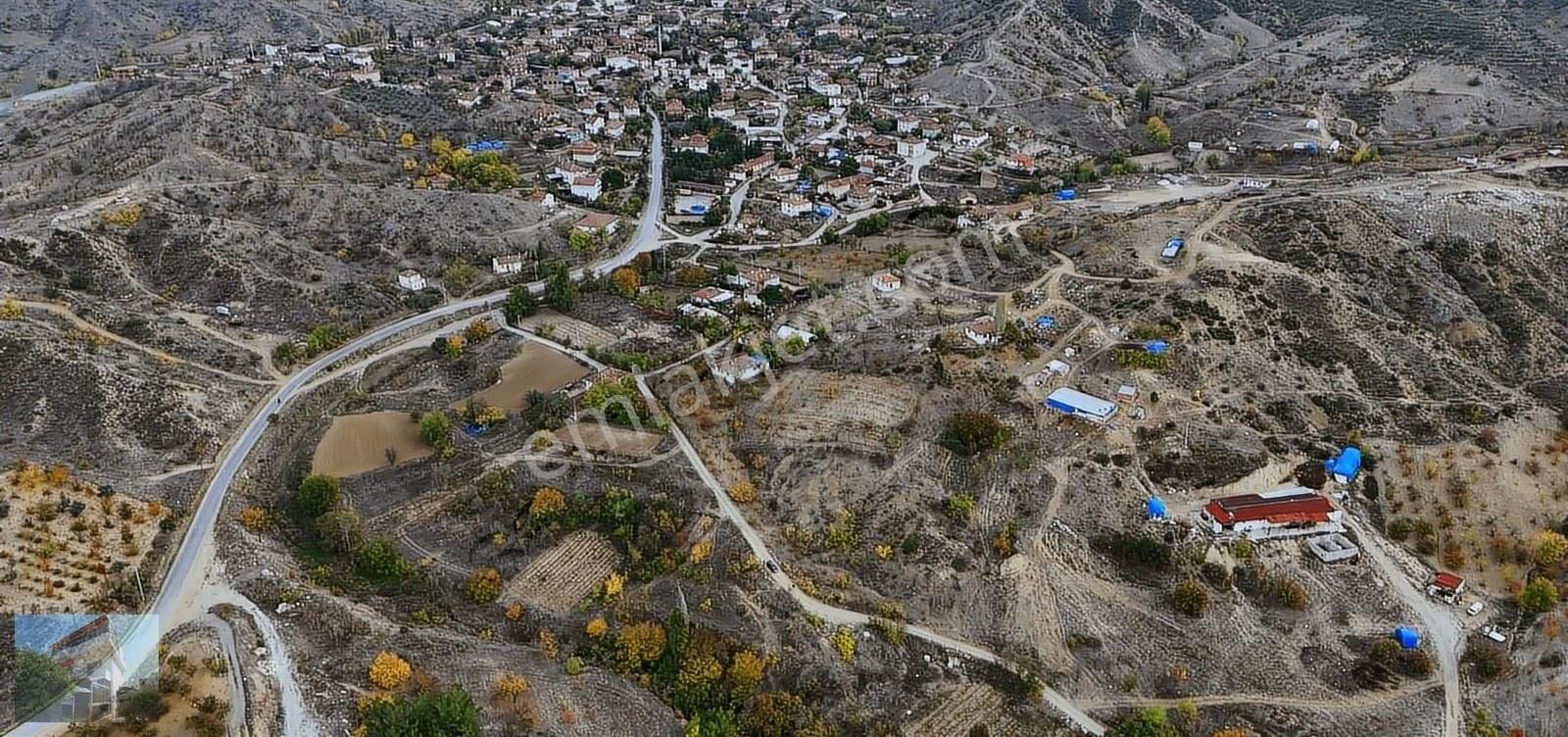 Bilecik Merkez Yeniköy Köyü Satılık Bağ & Bahçe Bilecik Yeniköyde Bağ Ve Bahçe Satılıktır