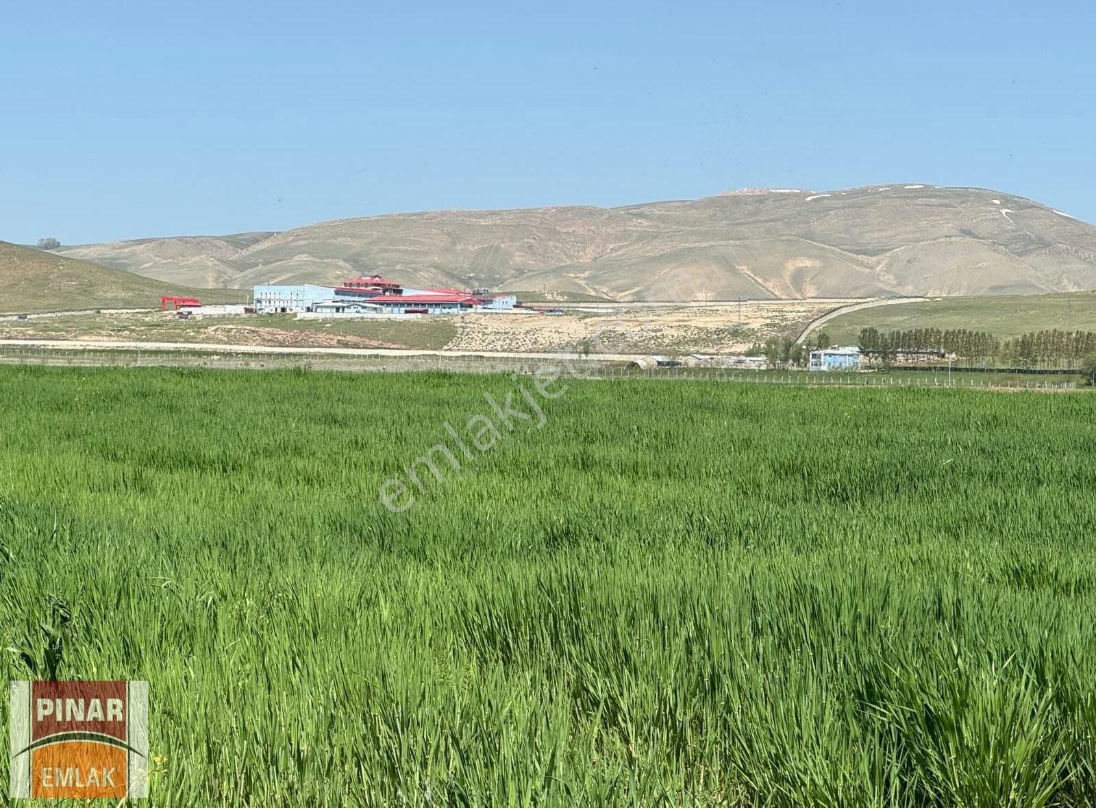 Tuşba Alaköy Satılık Tarla Pınar Emlak'tan Alaköyde Satılık Tarla