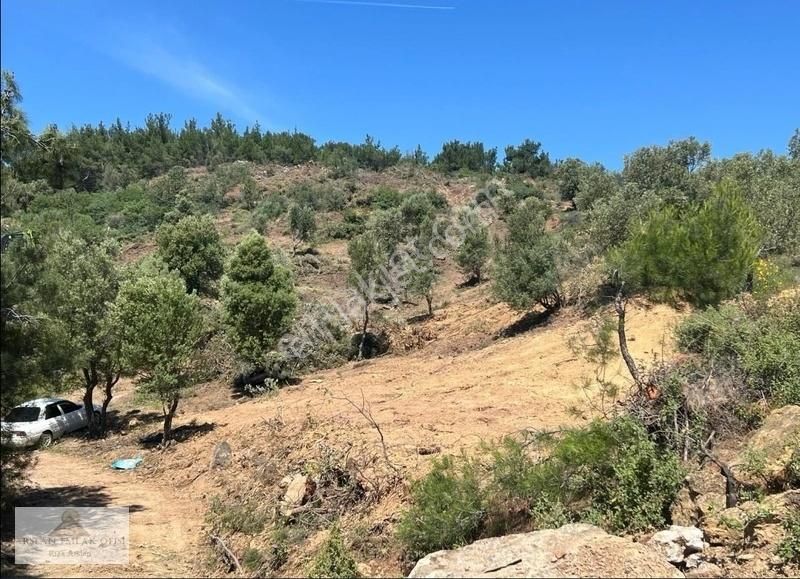 Arslan Emlaktan Balıkesir Burhaniye Ağacık'ta 7.300 M2 Zeytinlik - Görsel 21