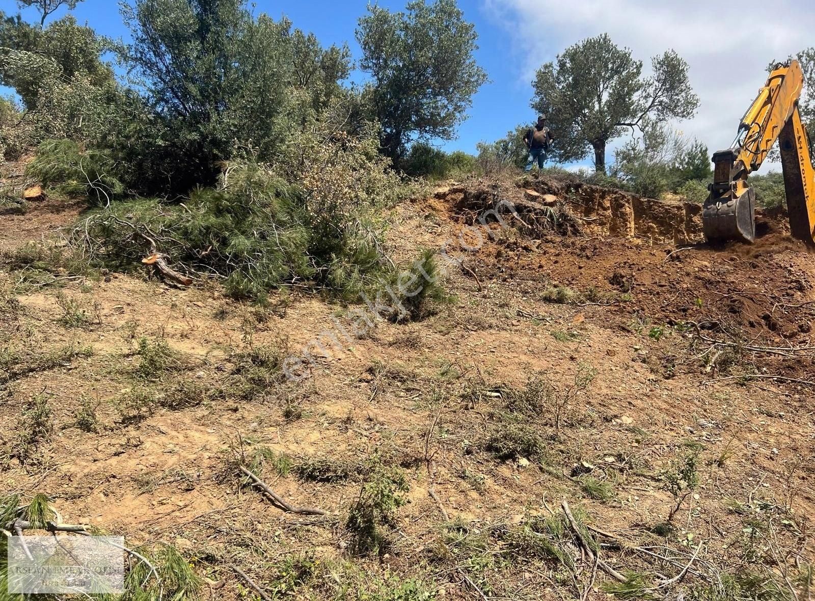 Arslan Emlaktan Balıkesir Burhaniye Ağacık'ta 7.300 M2 Zeytinlik - Görsel 15