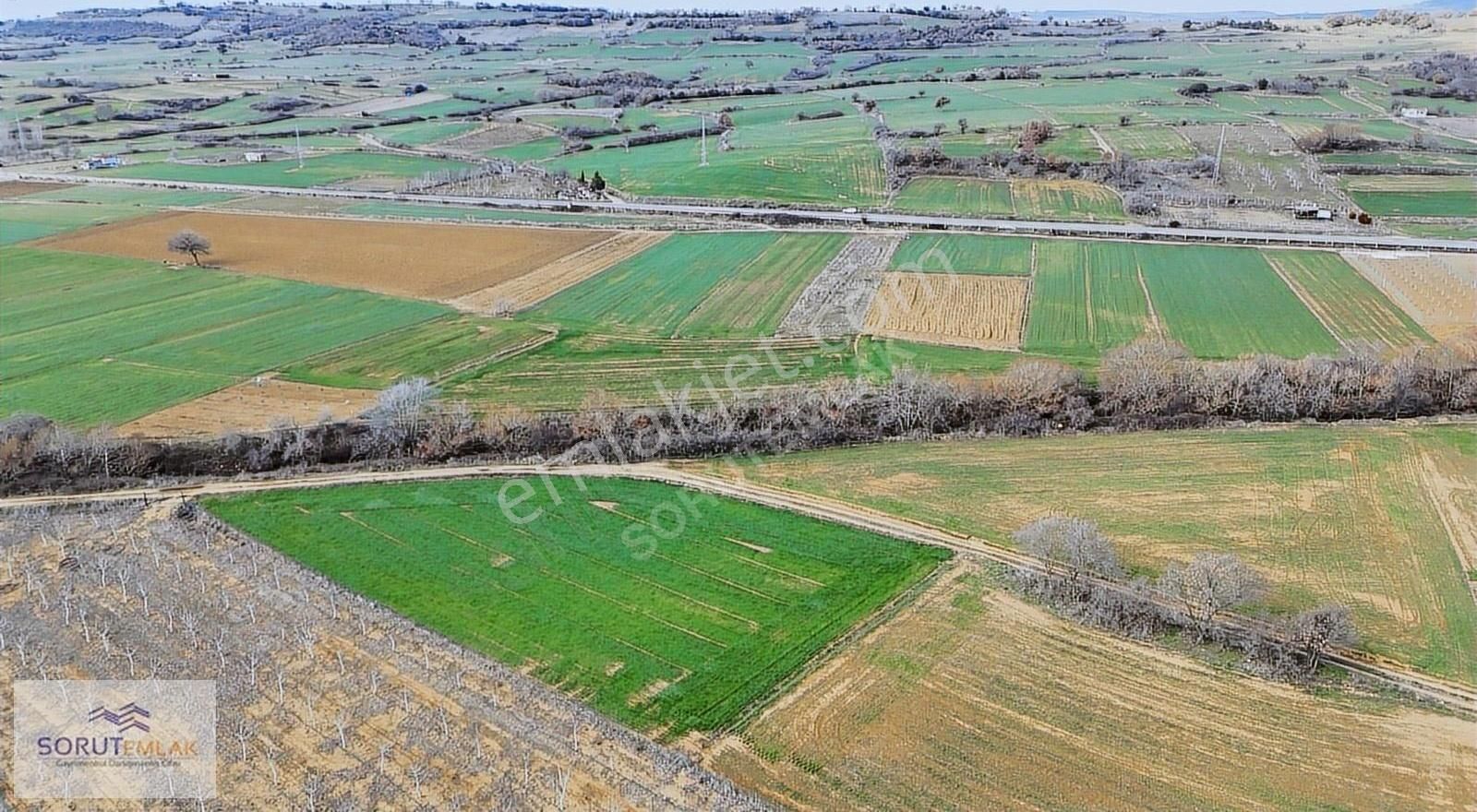 Keşan Mecidiye Köyü (Atatürk) Satılık Tarla Mecidiye Deniz'e Yakın Konumda 2.150 M2 Müstakil Satılık Tarla