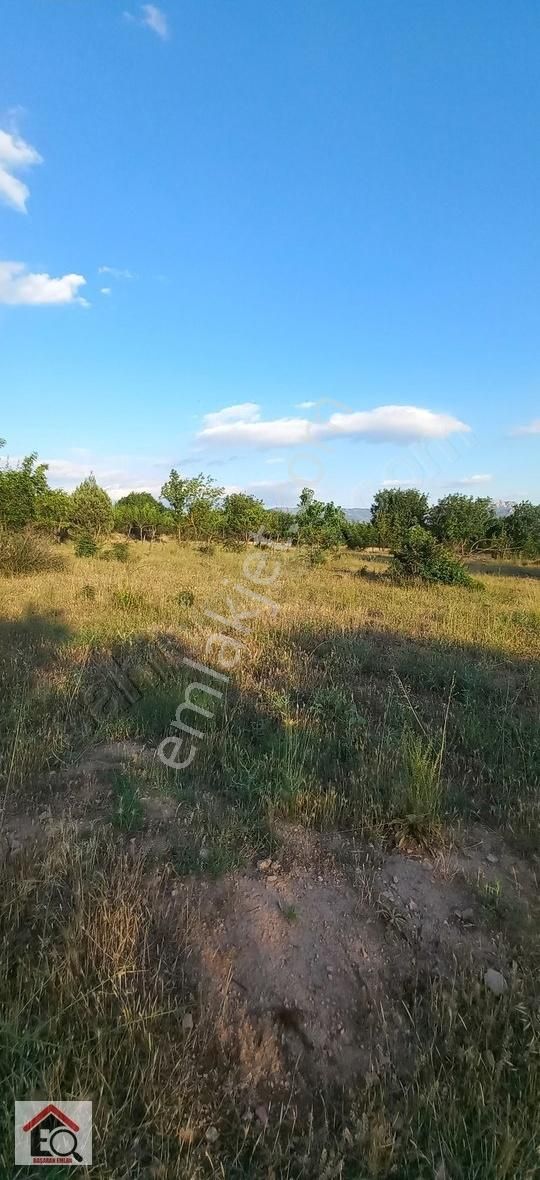 Söğüt Tuzaklı Köyü Satılık Tarla Bilecik Söğüt Tuzaklı Köyünde Satılık Tarla