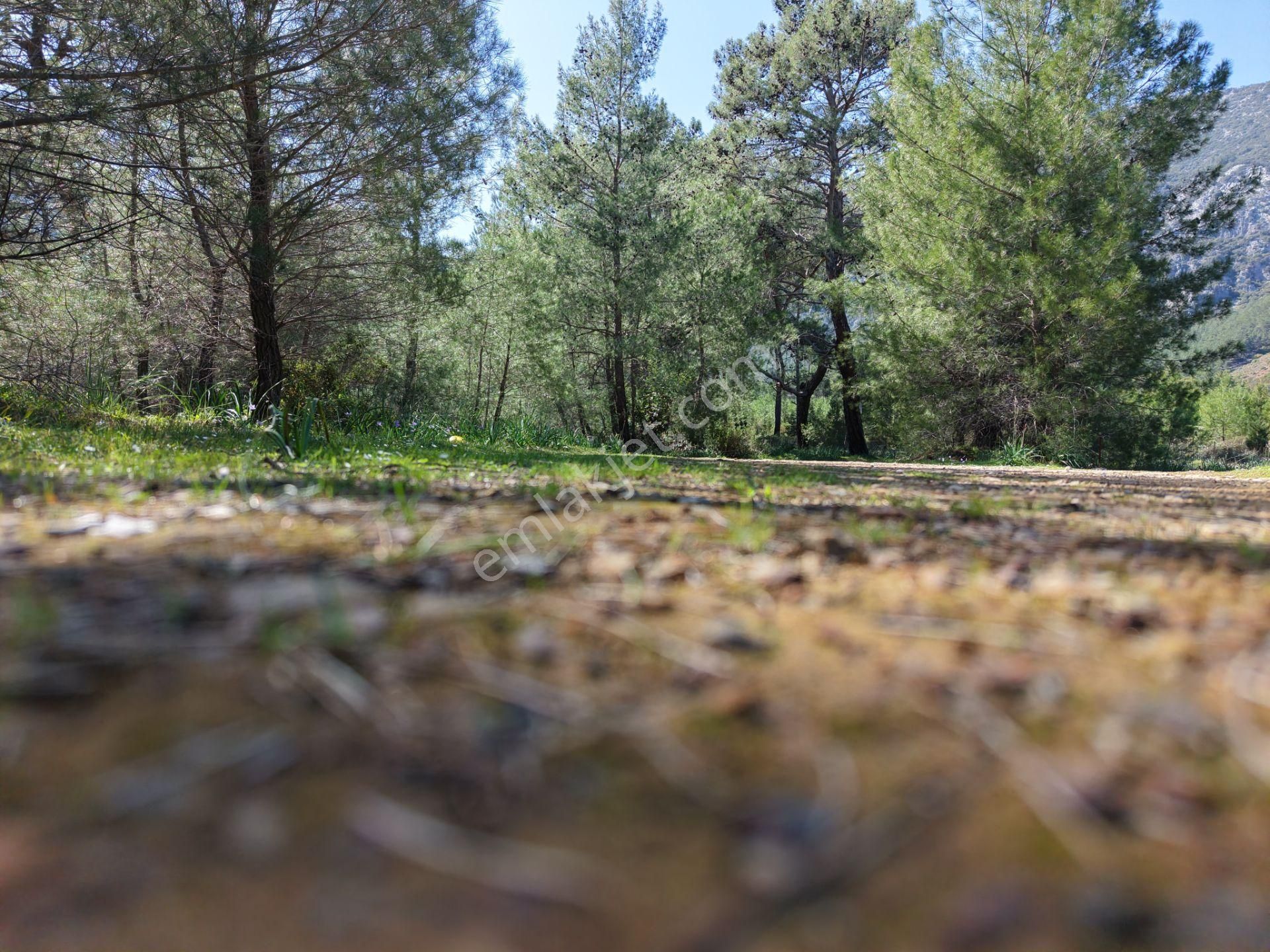 Antalya Kumluca Adrasanda Satılık Arsa - Görsel 4