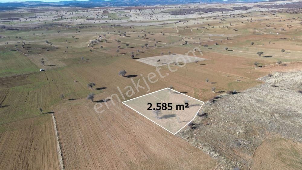 Beyşehir Yenidoğan Satılık Tarla 2.585 M² / Konya / Beyşehir / Yenidoğan / Tarla