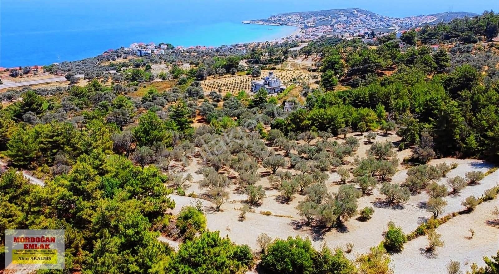 Karaburun Mordoğan Satılık Tarla Mordoğan Emlaktan Full Deniz Mnz 5800 M2 Satılık Z.ağaçlı Tarla