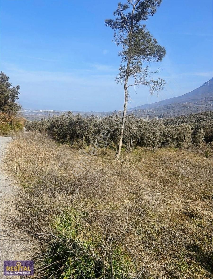 Orhangazi Karsak Satılık Tarla Bungolov Ev Yapılabilecek Göl Ve Doğa Manzaralı