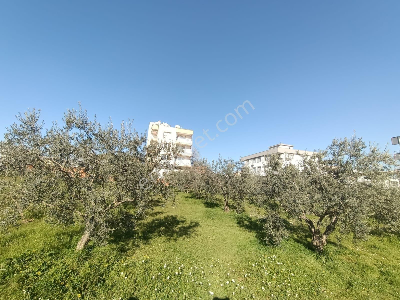 Torbalı Yazıbaşı Mahalesinde Satılık 3 Kat İmarlı 508 M² Arsa - Görsel 3