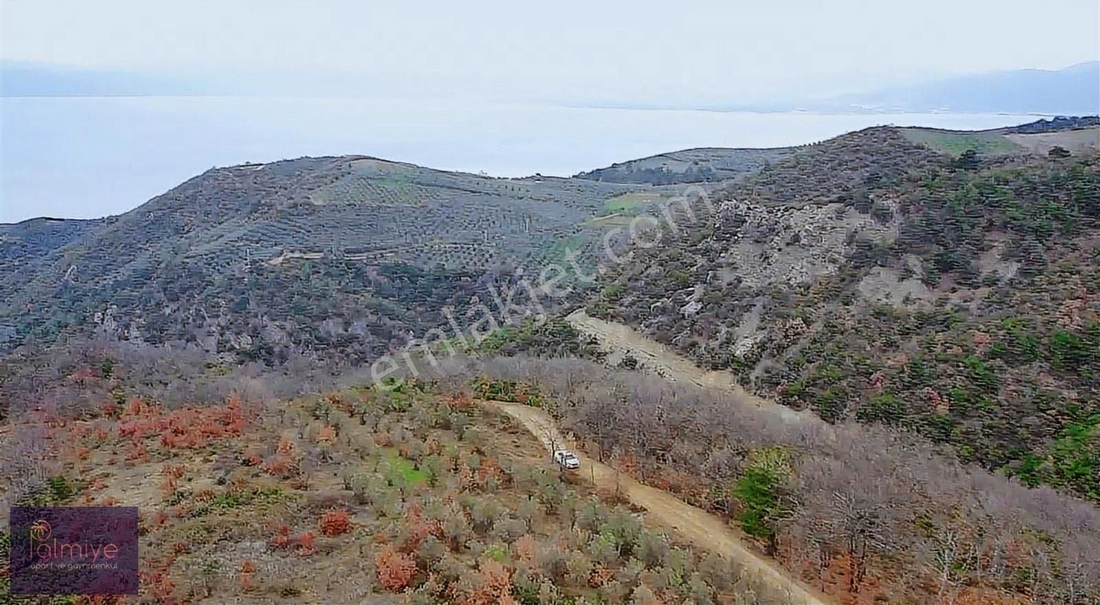 İznik Göllüce Satılık Tarla Göllüce'de Full Göl Manzaralı Yola Cephe 6,000 M2 Arazi