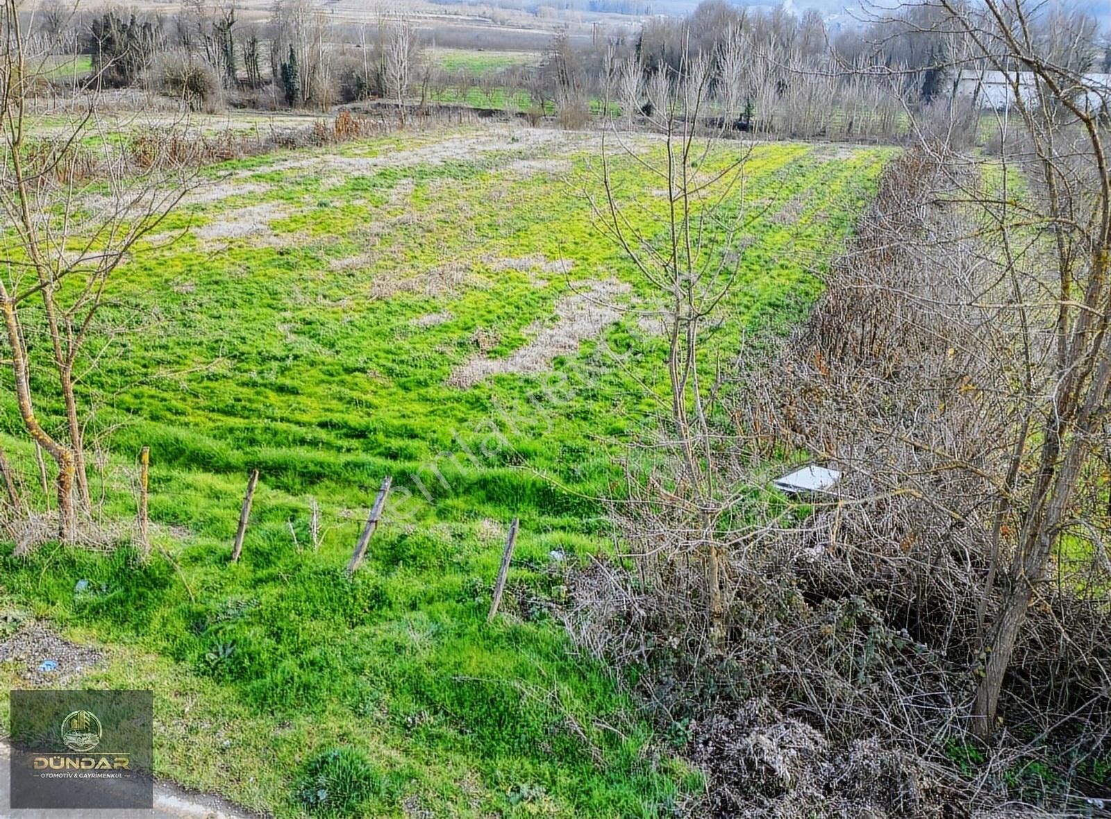 Hendek Halaç Satılık Tarla Hendek Hallaç Mahallesi Yola Cepheli D.gaz Elkt. Su Mevcut Arazi