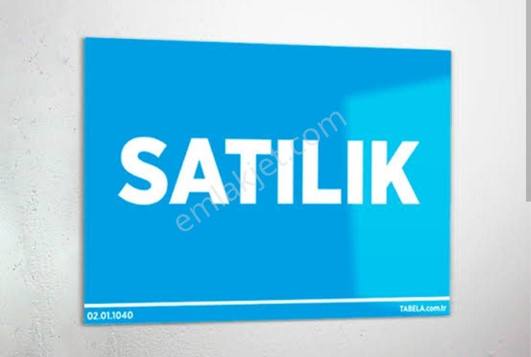 Salihli Karaağaç Satılık Zeytinlik Karaağaç Mahallesin De Satılık Zeytinlik Satılık