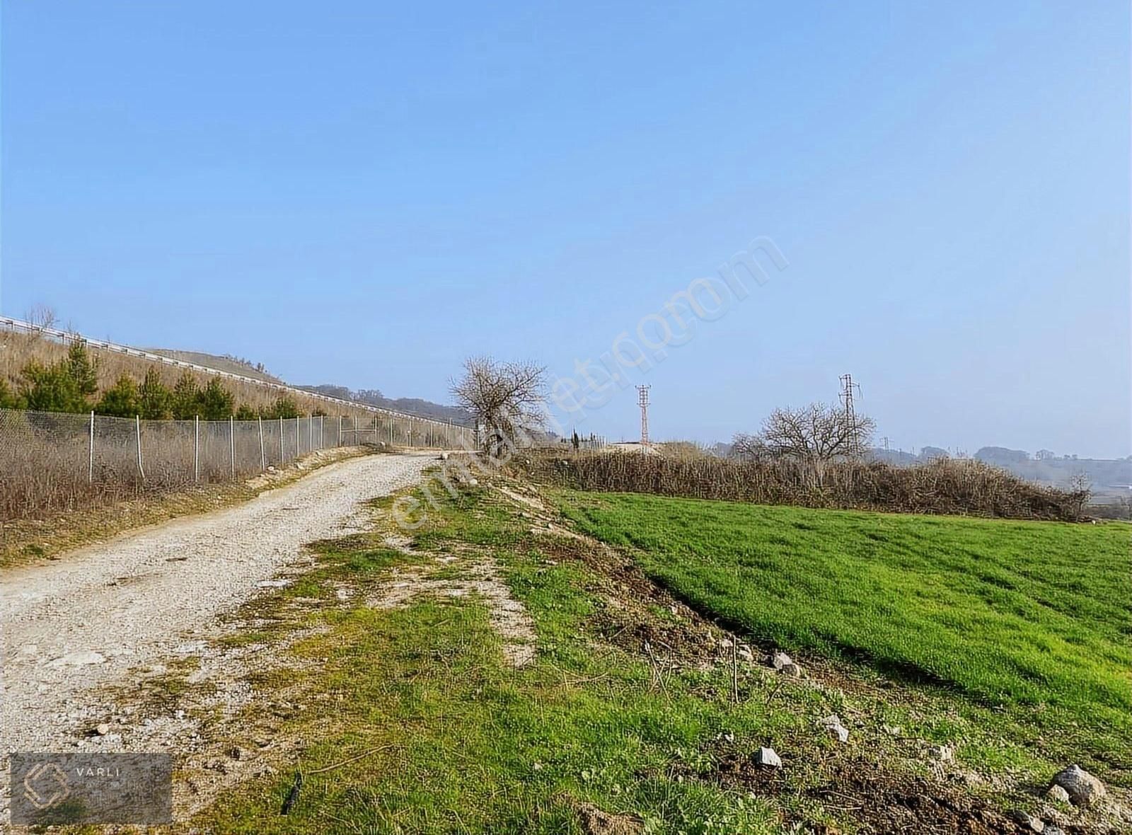 Susurluk Yeni Satılık Tarla Balıkesir Susurluk'ta Elektrik, Yol ,su Mevcut Kelepir Arazi