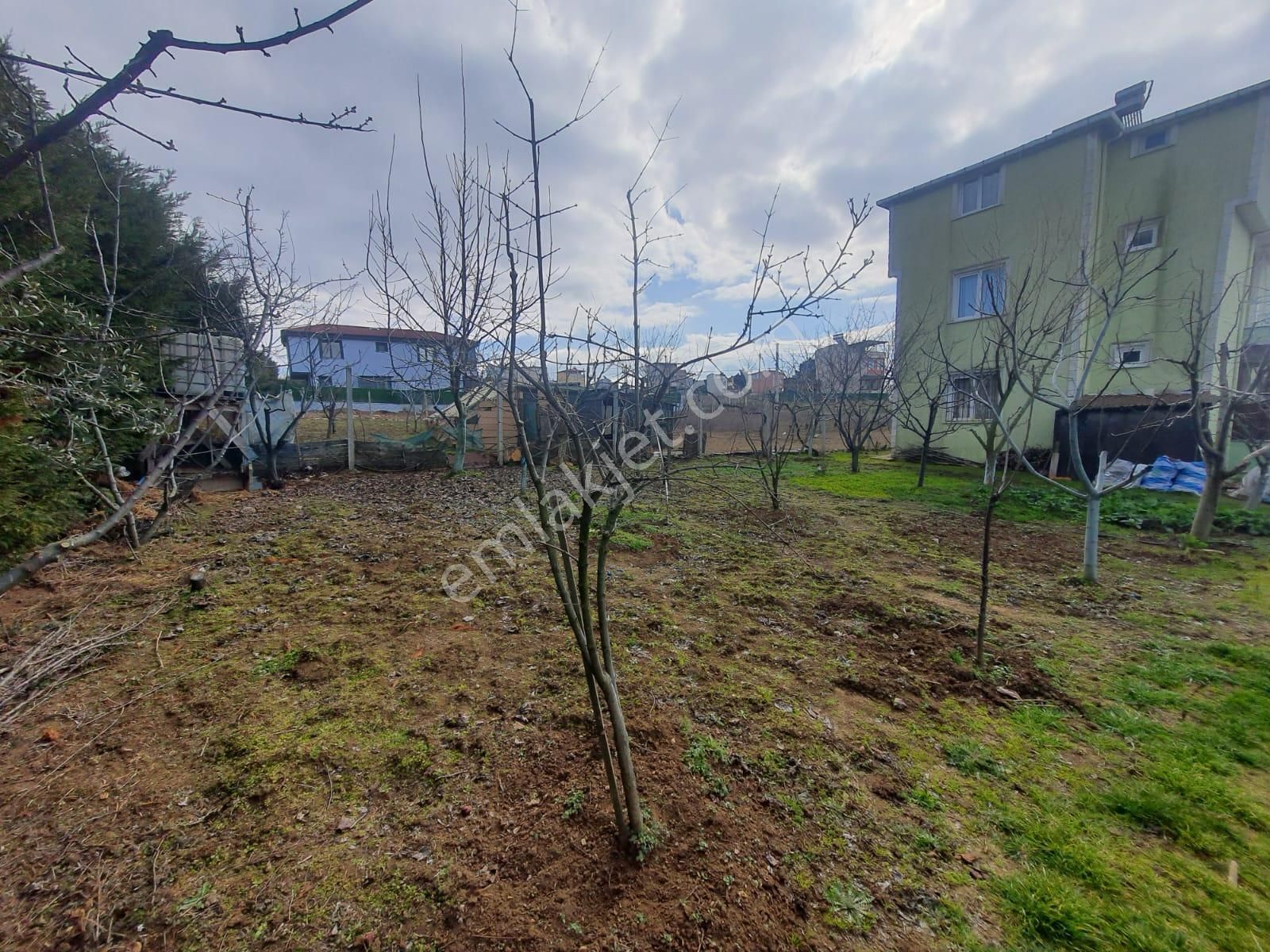 Haydar Emlaktan Karaevlide 506 M2 İçinde Triblekls Villa - Görsel 6