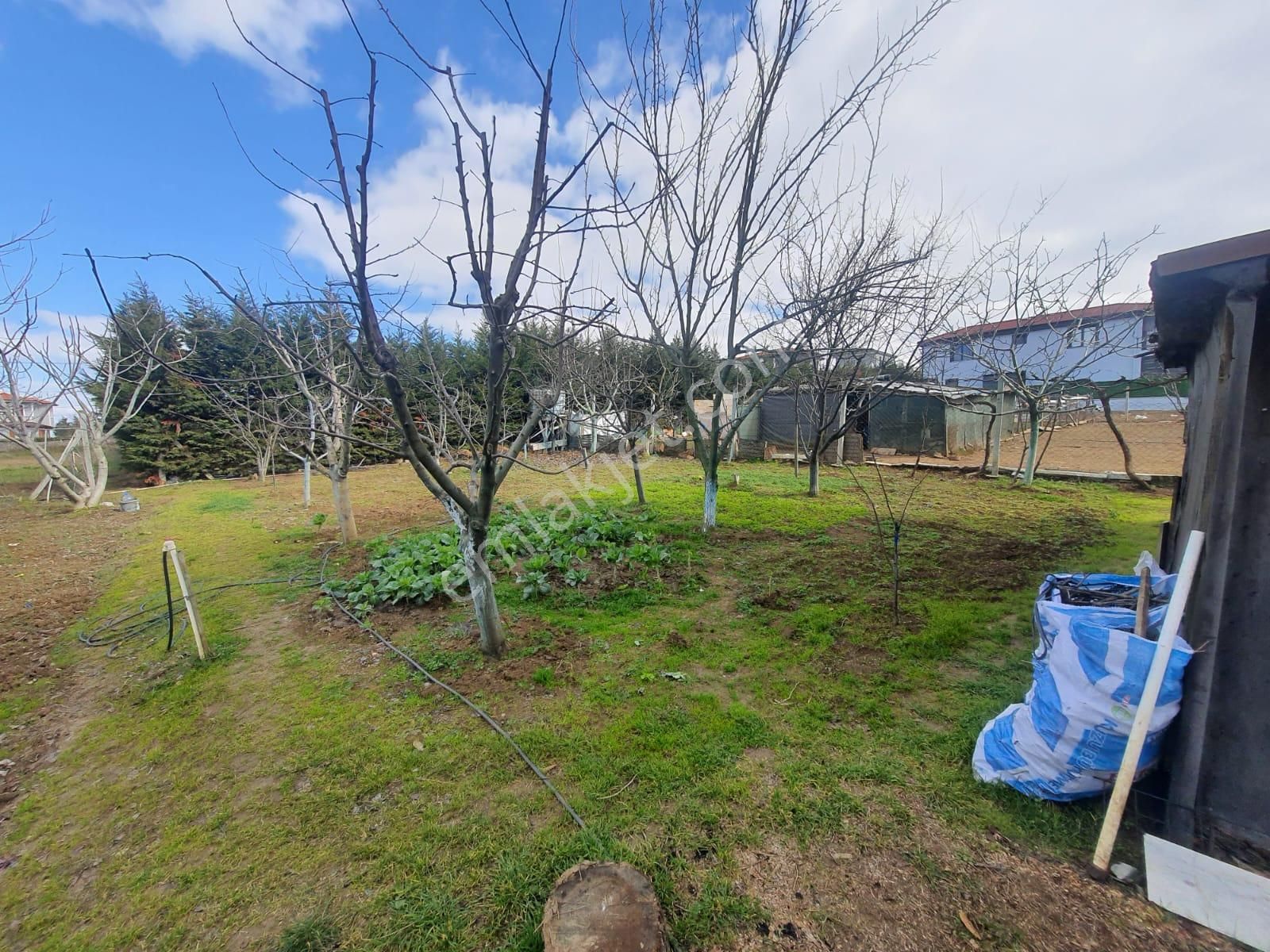 Haydar Emlaktan Karaevlide 506 M2 İçinde Triblekls Villa - Görsel 5